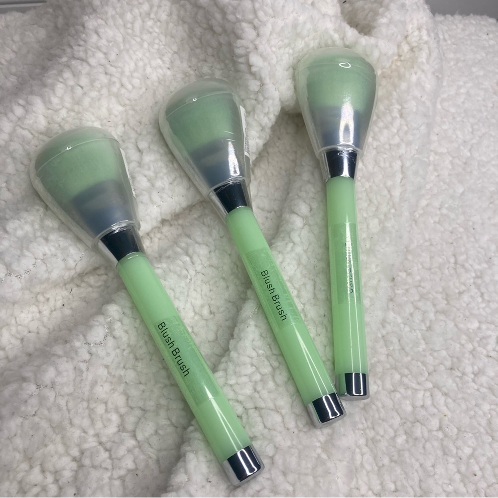 Blush Brush with covers 3 piece